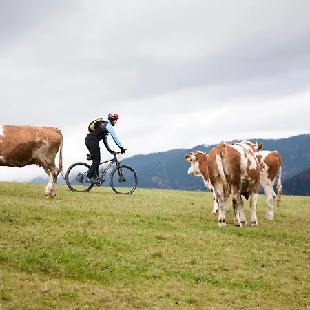 Holiday home Holiday 'pekovo 1825' Ljubno