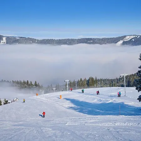 Holiday 'pekovo 1825' Ljubno